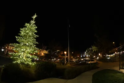 DSC_0020 (Large).JPG